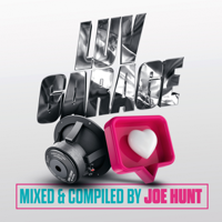 Various Artists - Luv Garage (Mixed & Compiled By Joe Hunt) artwork