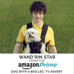 Wand'rin' Star (From the "Amazon Prime - Dog With a Bad Leg" TV Advert) [Remastered]