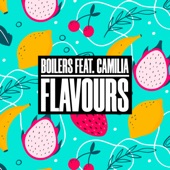 Flavours (feat. Camilia) artwork