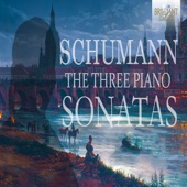 Schumann: The Three Piano Sonatas artwork