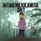 Intro Mexicanita Rkt (feat. IDGM RMX) - DJ Cronox lyrics