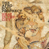 The Afro Soul Prophecy - Summer Of '75