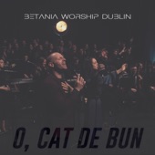 O, Cat De Bun (Live) artwork