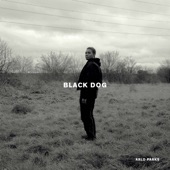 Black Dog