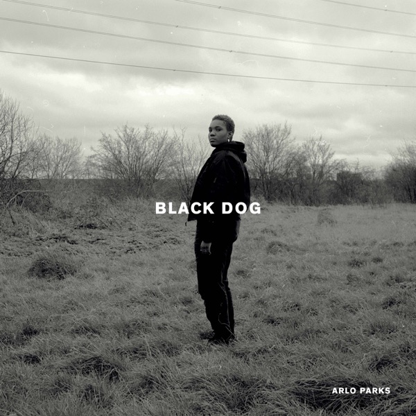 Black Dog - Single - Arlo Parks