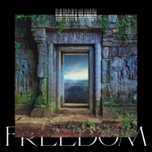 Freedom (Sub Focus x Wilkinson x High Contrast Remix) artwork