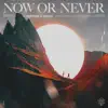 Now or Never song lyrics