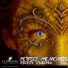 Perfect Memories - Single