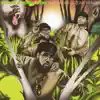 Rap Safari (J-Zone Remix) [feat. Phill Most Chill, J-Live & J-Zone] - Single album lyrics, reviews, download
