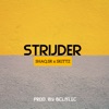 Strijder (feat. Skittz) - Single