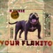 Your Flakito - Ceropunto808 lyrics