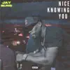 Nice Knowing You - Single album lyrics, reviews, download