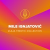 Mile Ignjatović (Zlaja Timotić Collection)