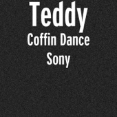 Coffin Dance Sony artwork