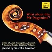 What About This, Mr. Paganini? artwork
