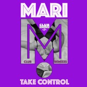 Take Control (Tech House Electro Mix) artwork