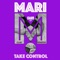 Take Control (Tech House Electro Mix) artwork