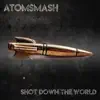 Shot Down the World - Single album lyrics, reviews, download