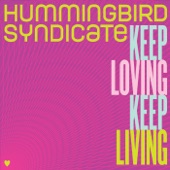 Hummingbird Syndicate - Any Given Day