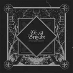 IV: One with the Storm - Ghost Brigade