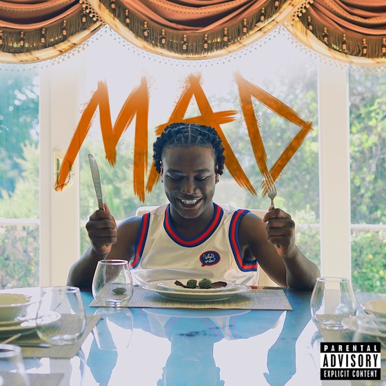 Cover artwork for MAD
