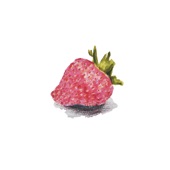 floopy - seedless strawberries
