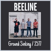Ground Sinking / 2577 - Single