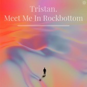 Meet Me in Rockbottom artwork