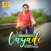 Praveena K P - Ammoomakkili Vayadi (Reprised Version) - Single artwork