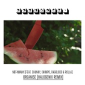 Organise (Halogenix Remix) [feat. Chunky & Chimpo & Ragoloco & Rolla] artwork