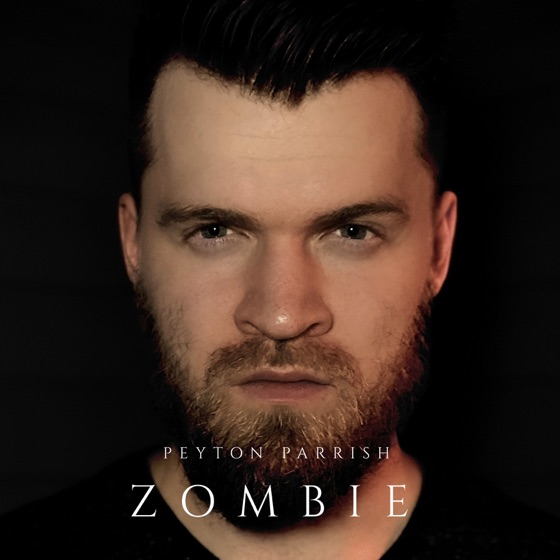 Cover artwork for Zombie