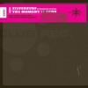 Zilverzurf - A Moment of Dub (feat. Desmond Foster)