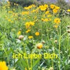 Ich Liebe Dich - Single