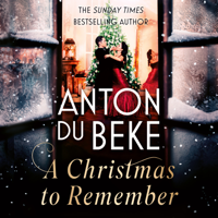 Anton du Beke - A Christmas to Remember artwork