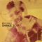 Shake Sum - Mylez Danielz lyrics