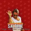 Salt Bae (feat. Mudassar Qureshi & Hashim Ishaq) - Single album lyrics, reviews, download