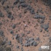 MORYZ - Jupiter