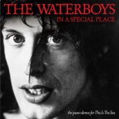 The Waterboys - The Whole of the Moon