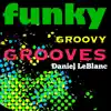 Funky Groovy Grooves album lyrics, reviews, download