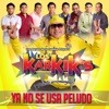 Ya No Se Usa Peludo - Single