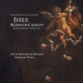 Biber Rosary Sonatas (Ruzencove sonaty) artwork
