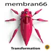 Stream & download Transformation - Single