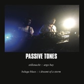 Passive Tones - I Dreamt of a Storm