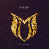Symphony (Extended Mix) artwork