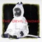 Devil Knows (feat. David J., MGT & Marc Slutsky) - Julian Shah-Tayler & The Singularity lyrics