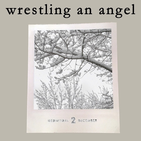 Cover artwork for Wrestling an Angel