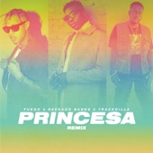 Princesa (Remix) artwork