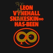 Snakeskin ∞ Has-Been (Edit) artwork