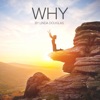 Why - Single