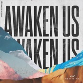 Awaken Us artwork